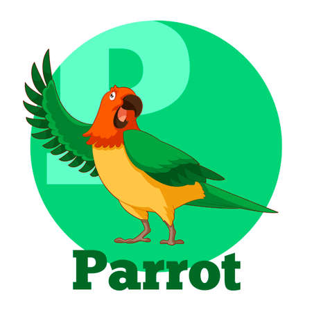 Vector image of the ABC Cartoon Parrotのイラスト素材