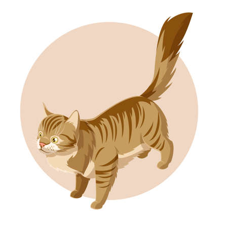 Vector image of the Isometric standing cat iconのイラスト素材