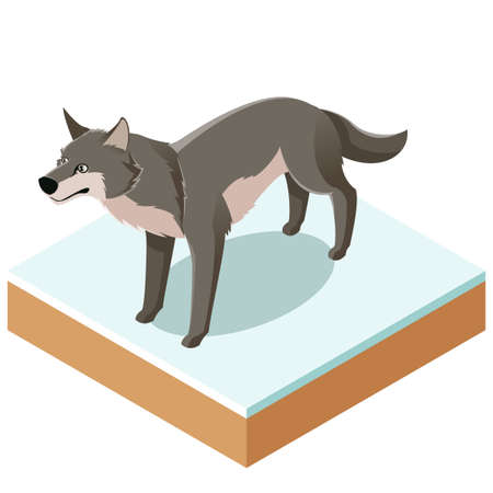 Vector image of the Isometric wolf icon with a square groundのイラスト素材