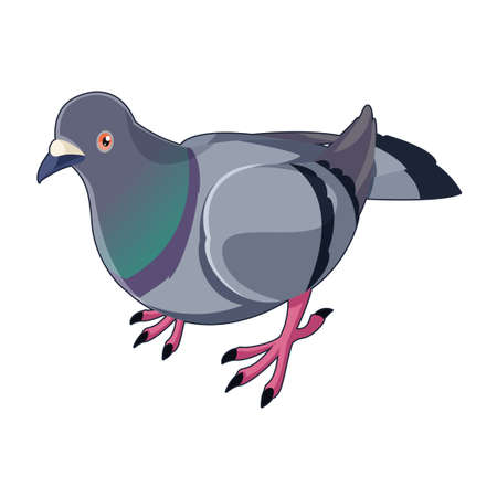 Vector image of the Pigeon isometric iconのイラスト素材