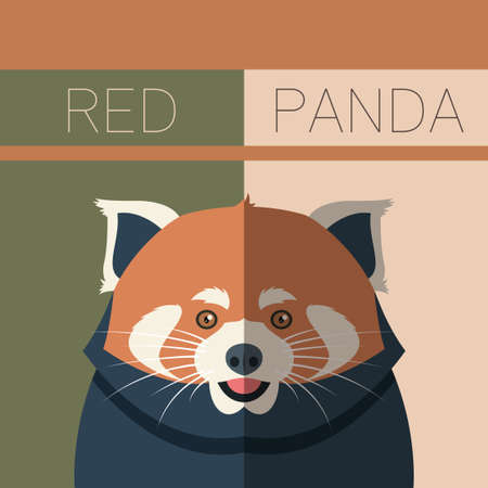 Vector image of the Red Panda flat postcardのイラスト素材
