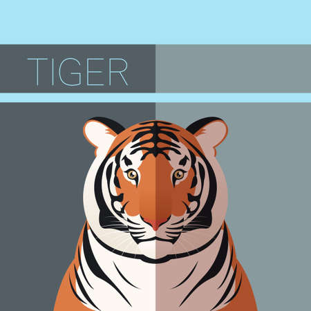 Vector image of the Tiger flat postcard