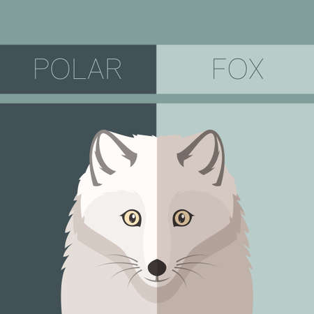 Vector image of the Polar Fox flat postcardのイラスト素材