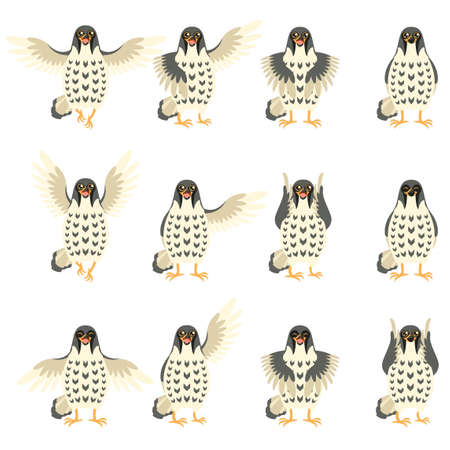 Vector image of the Set of Falcon Flat iconsのイラスト素材