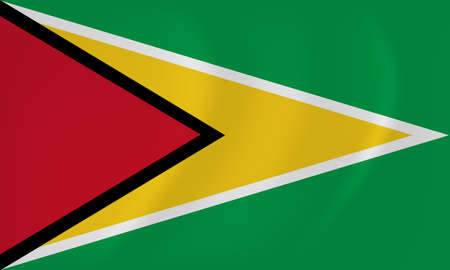 Vector image of the Guyana waving flagのイラスト素材