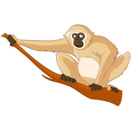 Cartoon smiling Gibbonのイラスト素材