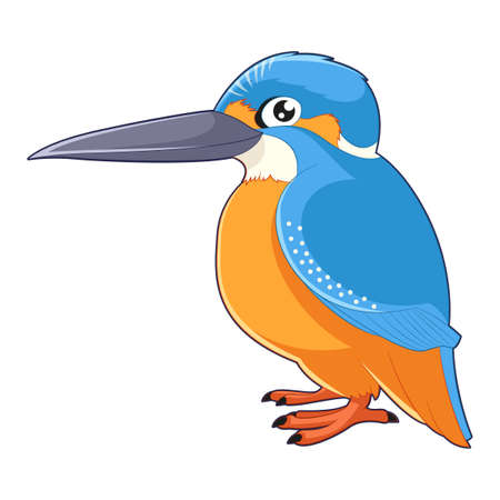 Cartoon smiling Kingfisherのイラスト素材