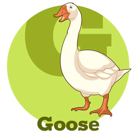 Vector Image of the ABC Cartoon Gooseのイラスト素材