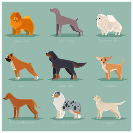 Dog flat icons setのイラスト素材