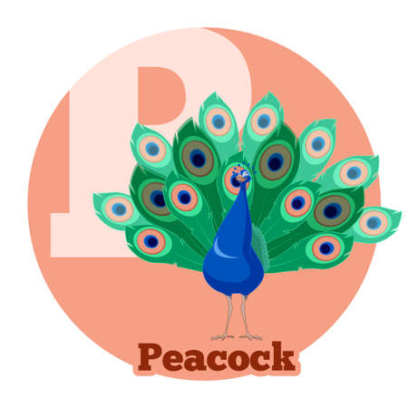ABC Cartoon Peacockのイラスト素材
