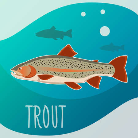 Trout fish bannerの写真素材