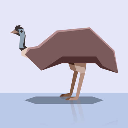 Flat design Emuのイラスト素材