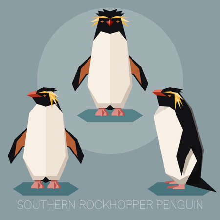 A Vector image of the square-angled Flat southern rock hopper penguinのイラスト素材