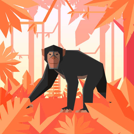 Flat geometric jungle background with Chimpanzeeのイラスト素材