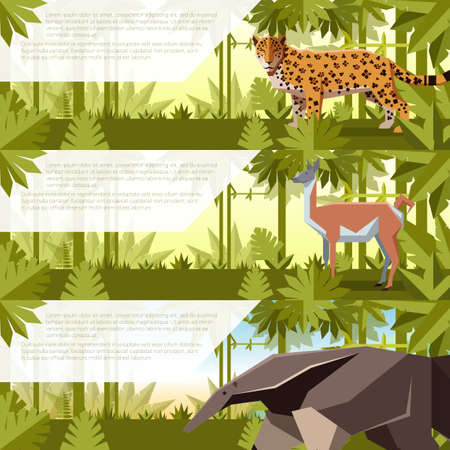 Vector image of the Set of banners with south america animals Guanaco, anteater and Jaguarのイラスト素材