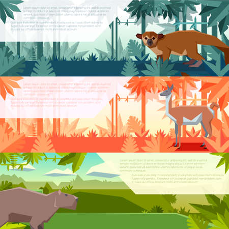 Vector image of the Set of banners with south america animals kinkajou, guanaco and capybaraのイラスト素材