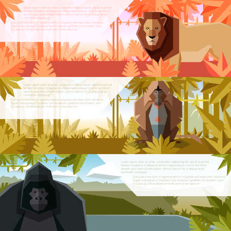 Vector image of the Set of flat banners with african animals Lion, gelada and Gorillaのイラスト素材