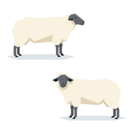 Vector image of the Flat geometric Suffolk sheepのイラスト素材