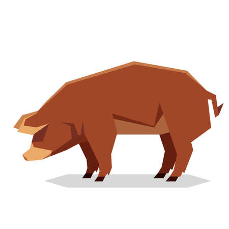 Vector image of the Flat geometric Red Wattle pigのイラスト素材