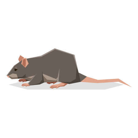 Flat geometric Ratのイラスト素材