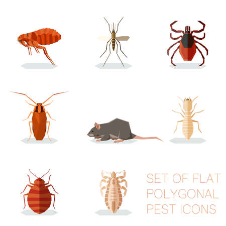 Set of flat polygonal pest iconsのイラスト素材