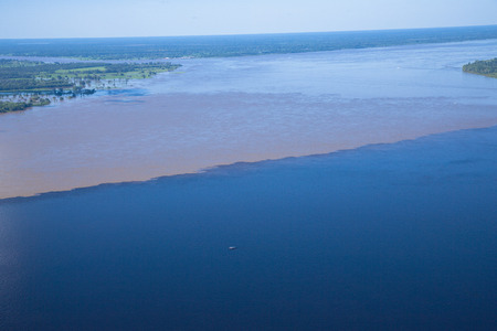 The Amazon River