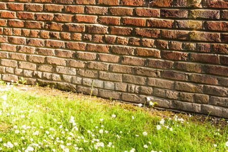 Old brick wall with grass floor の写真素材