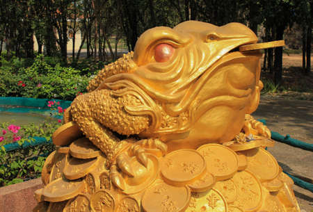 Feng Shui frog hold coin in the mouth sitting on gold money moundの写真素材