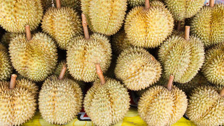 Fresh Durian at Marketの写真素材