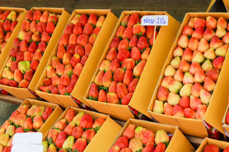 Fresh Strawberry in Boxの写真素材