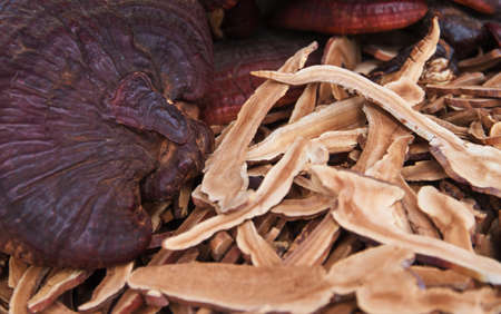 Lingzhi chinese traditional medicineの写真素材