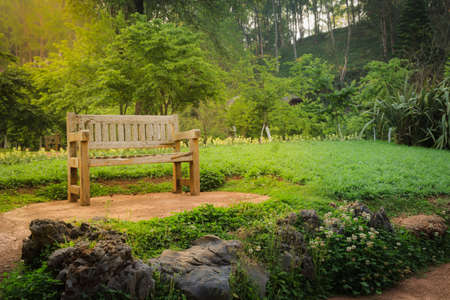 Bench wood in the garden, In sunlight beam.の写真素材