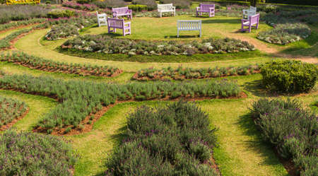 Benches arrange a circle in the outdoor garden among the many colorful plants.の写真素材