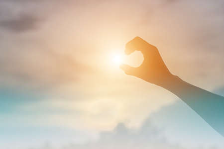 Catch the sunlightの写真素材