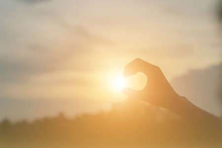 Catch the sunlightの写真素材