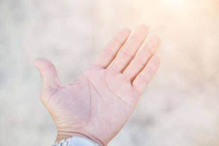 handの写真素材