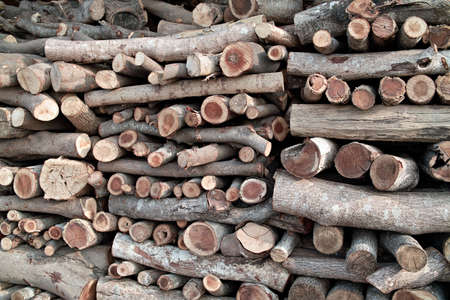 woodpileの写真素材