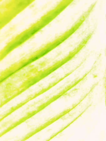 Abstract creative background. illustration digital, Abstract background, wallpaper or banner with...