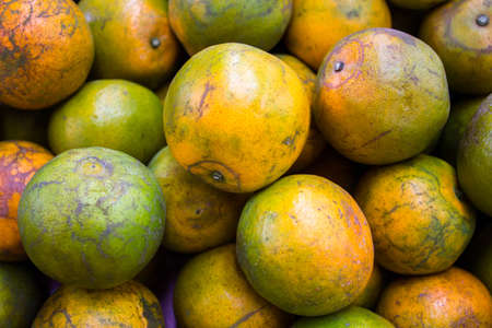 Oranges at super market, Orangesの写真素材