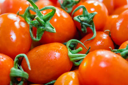 Group of fresh tomatoes background, tomatoes closeup, Fresh red tomatoes, A few ripe red tomatoes with water drops. Washed tomatoes for vegetable salad, Red tomatoes background fresh vegetables raw food, Ripe red tomatoes on a market closeup.の写真素材