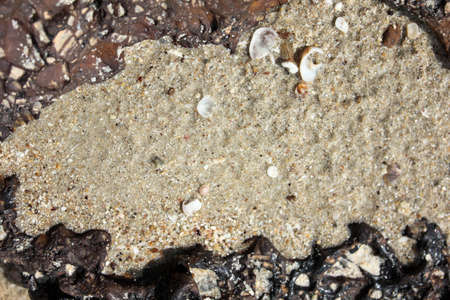 Shells and sand on the beach, Galapagos sand, background of shells on the beach in closeup, Macro of...