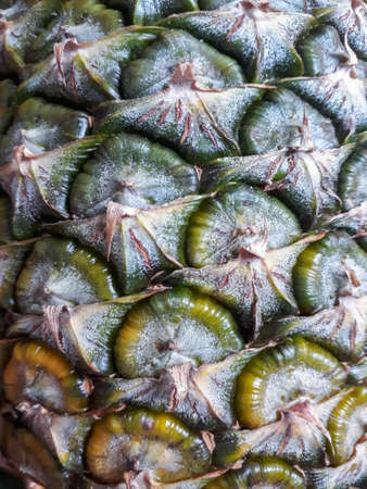 pineapple skin, Close up of a pineapple showing texture and detail, Pineapple fruit close-up. Texture of ananas pattern skin, Surface of pineapple close upの写真素材