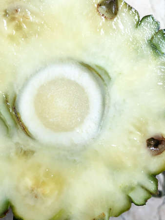 pineapple texture background, Abstract creative background.The concept of the pineapple, Skin of...