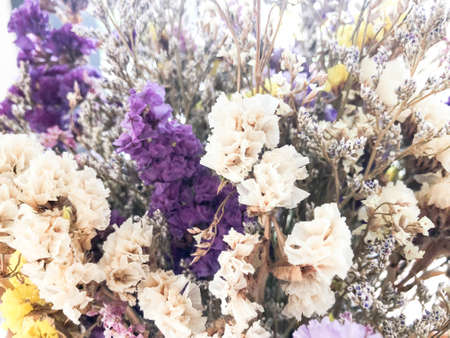 flowers, dried flowers, dry flower vintage style, Close up of colorful flowers vintage style, Colorful dried wild flowers in bucketsの写真素材