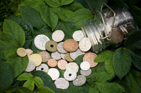coins from various countries spilled out of a bottle onto the green leavesの写真素材