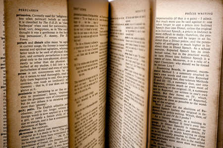 pages of an open book. old and vintage.