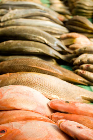 stack of fish meat on the traditional market
