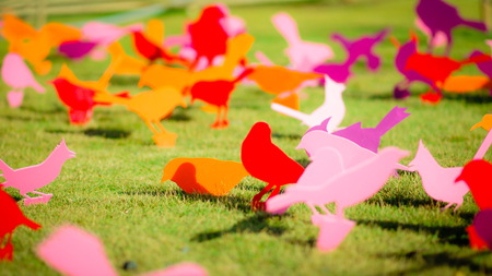 Group of Color Wooden bird on groundの写真素材