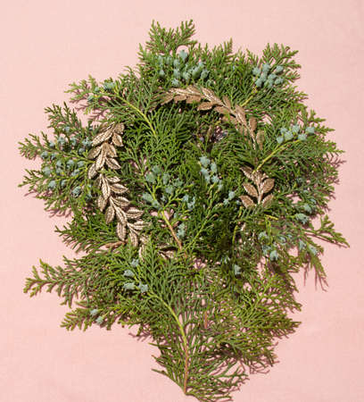Pine leaves with golden olive wreath on pink beckground. Minimalist conceptの写真素材
