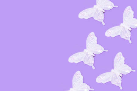 Beautiful white butterflies on a lavender background. Simplicity patternの写真素材